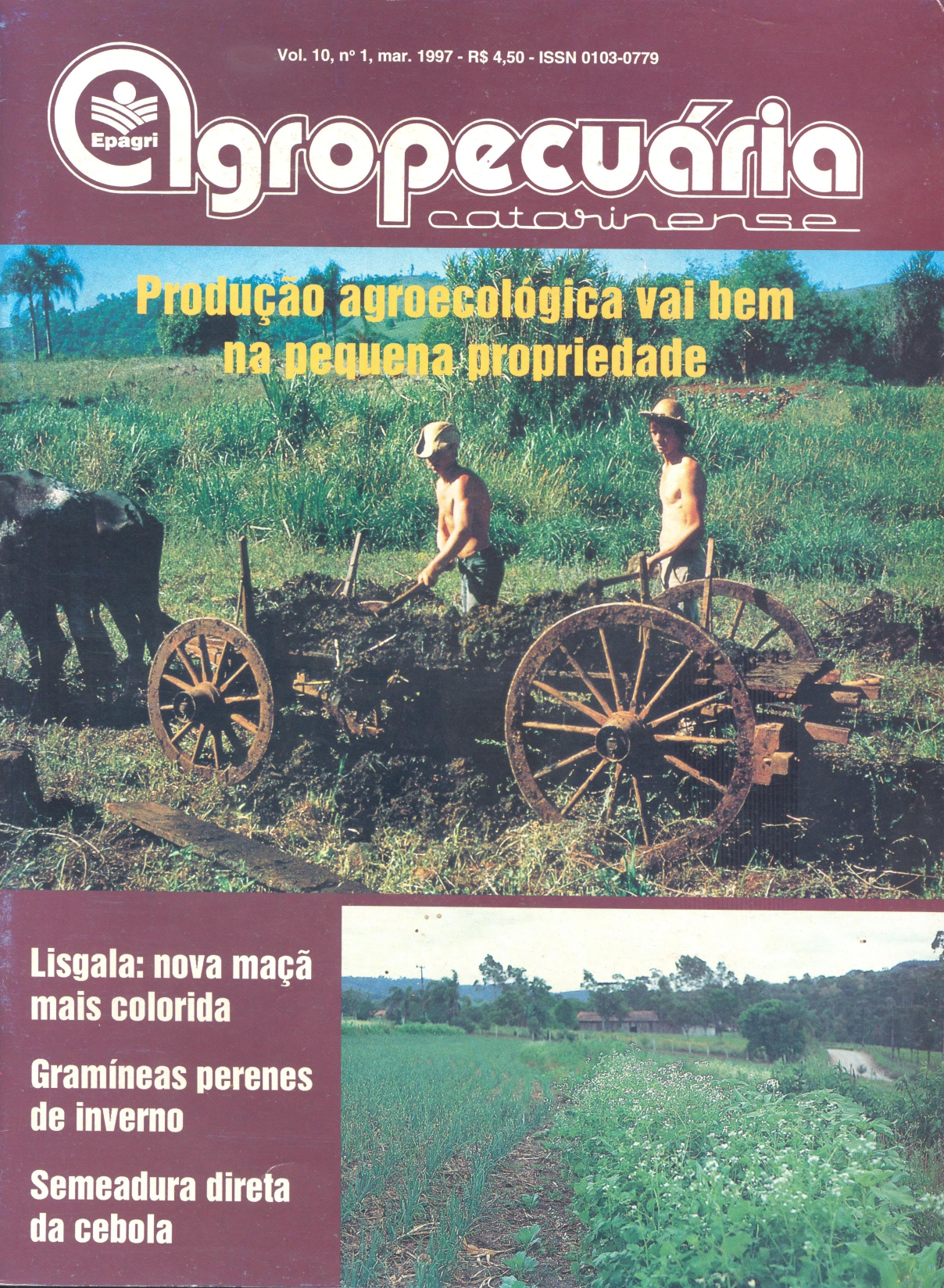 					View Vol. 10 No. 1 (1997)
				