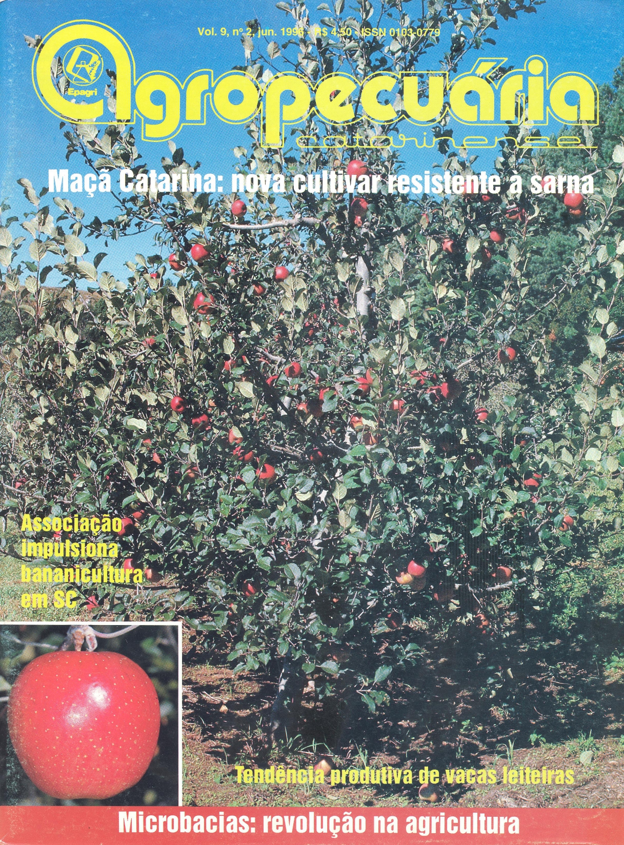 					Visualizar v. 9 n. 2 (1996)
				