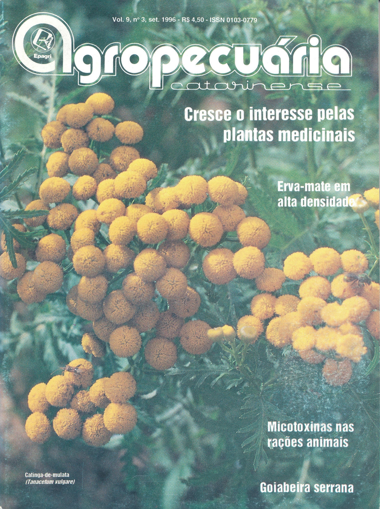 					Visualizar v. 9 n. 3 (1996)
				