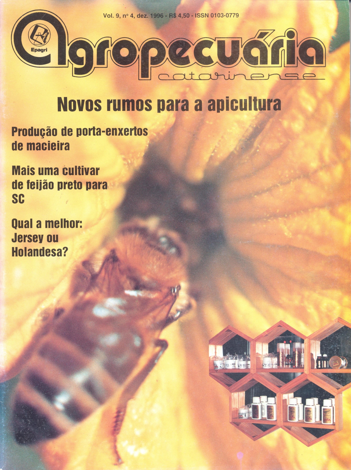 					Visualizar v. 9 n. 4 (1996)
				