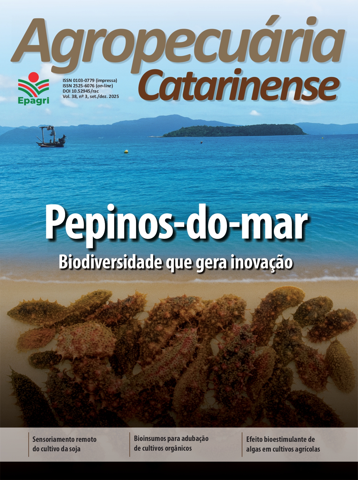 					Visualizar v. 38 n. 3 (2025)
				