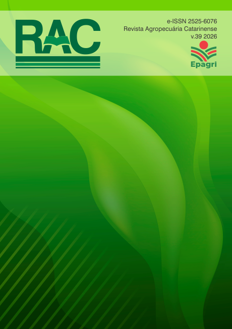 					Visualizar v. 39 (2026)
				