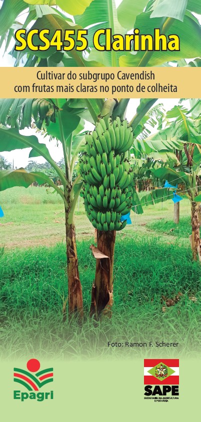 					Visualizar 2026: SCS455 Clarinha
				