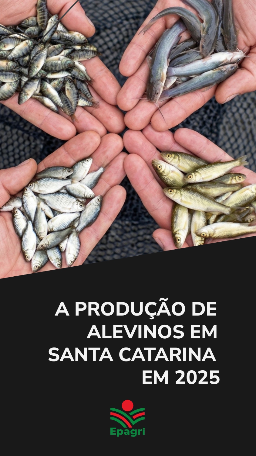 					Visualizar 2026: A produção de alevinos em Santa Catarina em 2025
				