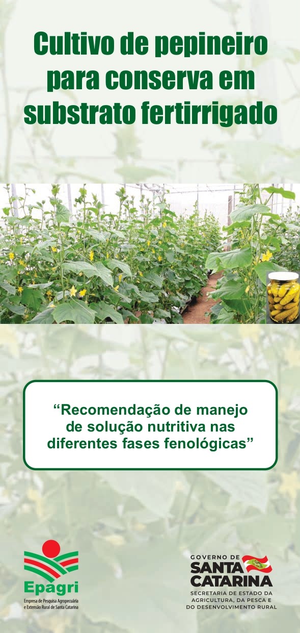 					Ver 2026: Cultivo de pepineiro para conserva em substrato fertirrigado
				