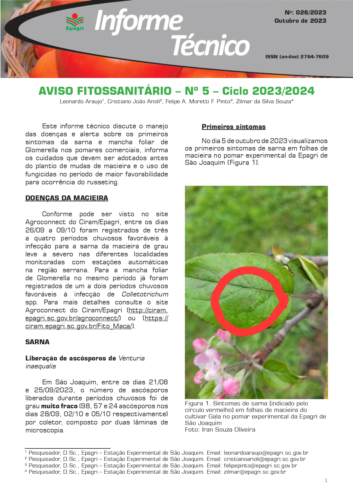 					View No. 26 (2023): Aviso fitossanitário da macieira n.5- ciclo 2023/2024
				