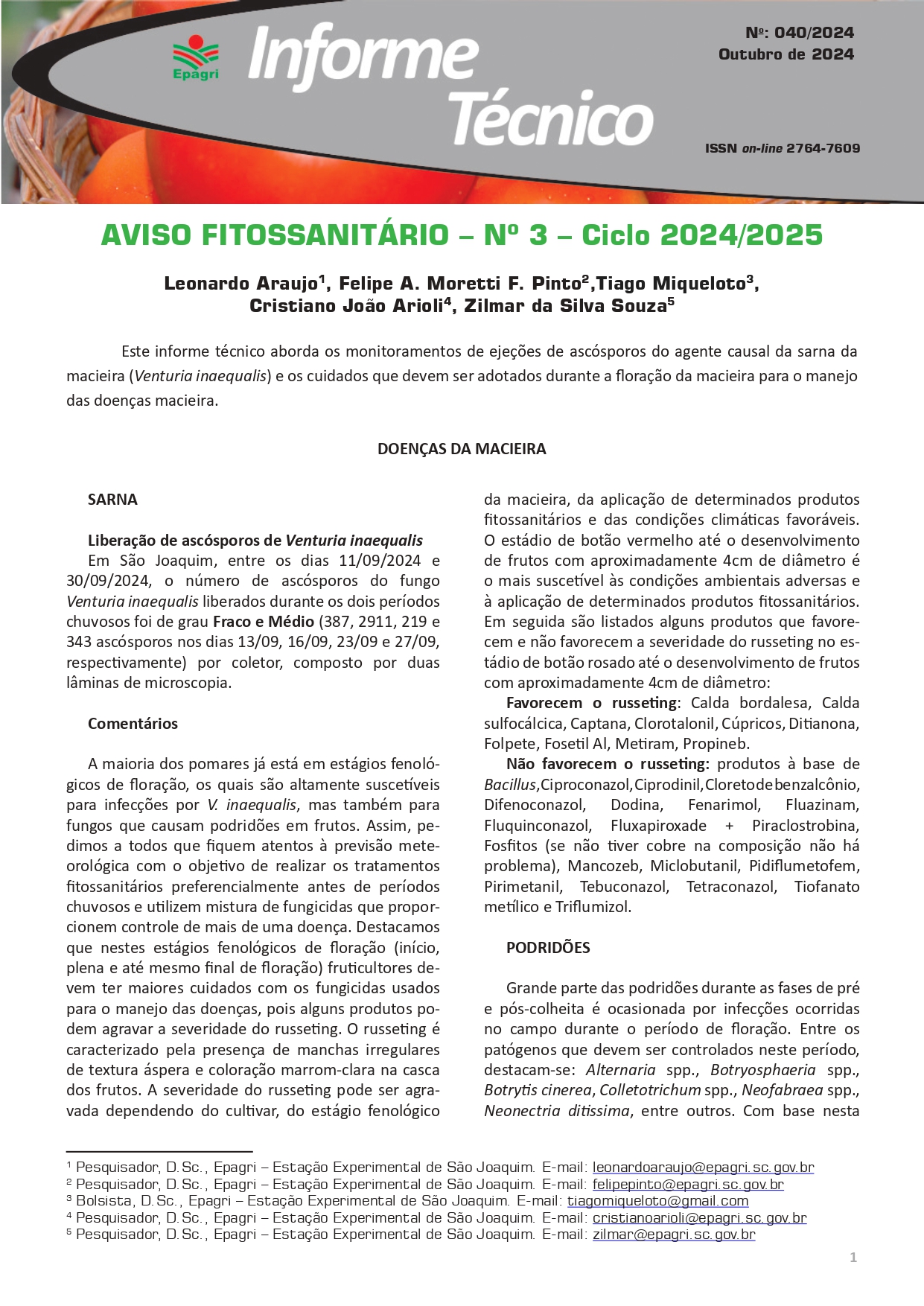 					View No. 40 (2024): Aviso fitossanitário – Nº 3 – Ciclo 2024/2025
				