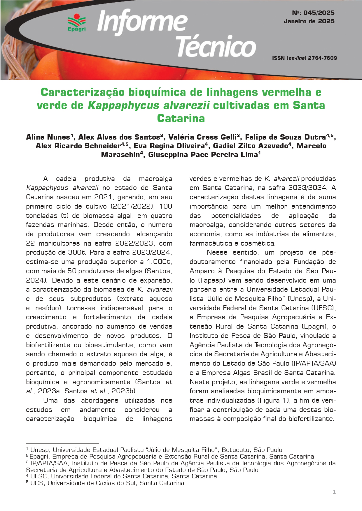 					Visualizar n. 45 (2025): Caracterização bioquímica de linhagens vermelha e verde de Kappaphycus alvarezii cultivadas em Santa Catarina
				