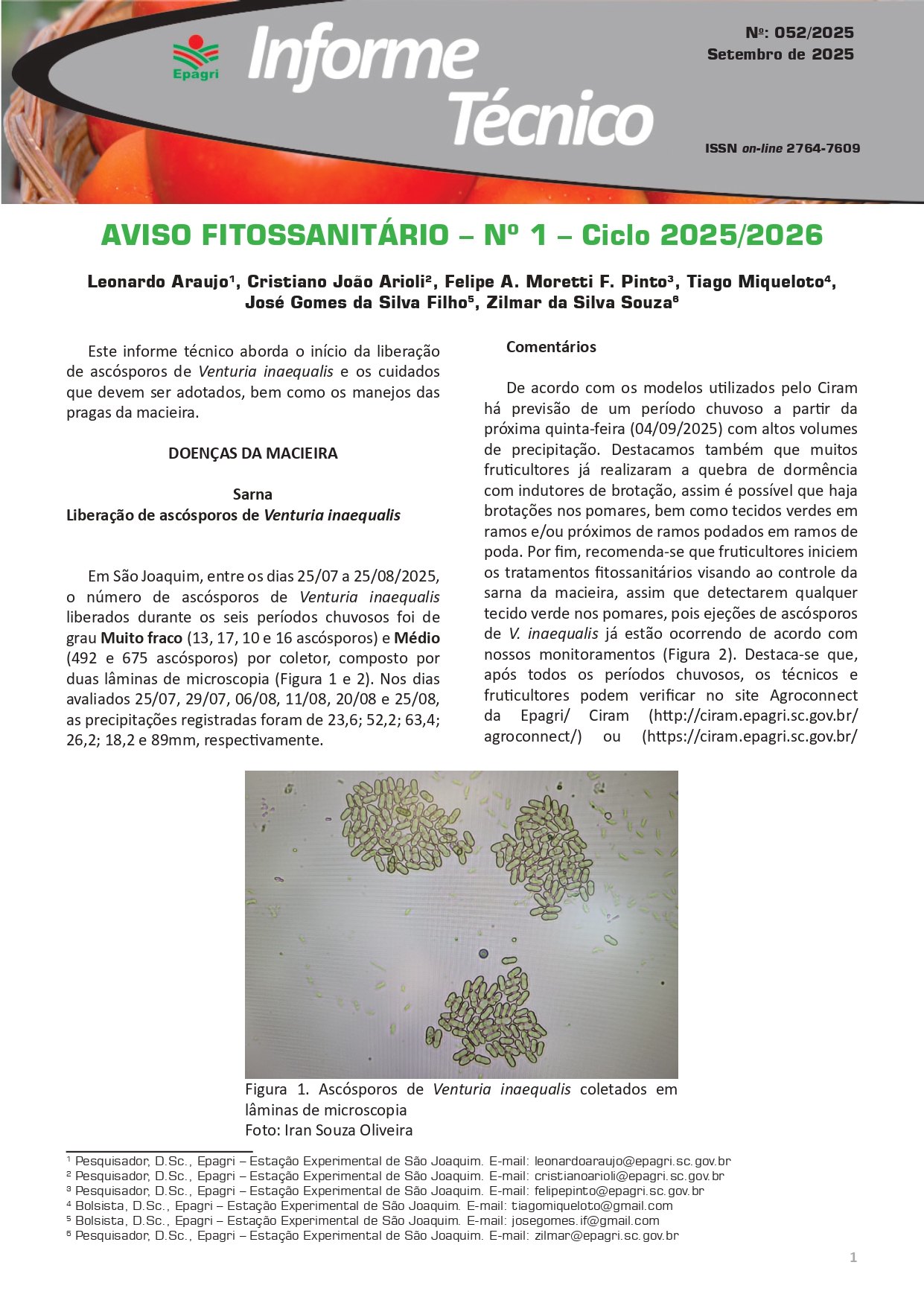 					Visualizar n. 52 (2025): Aviso fitossanitário – Nº 1 – Ciclo 2025/2026
				