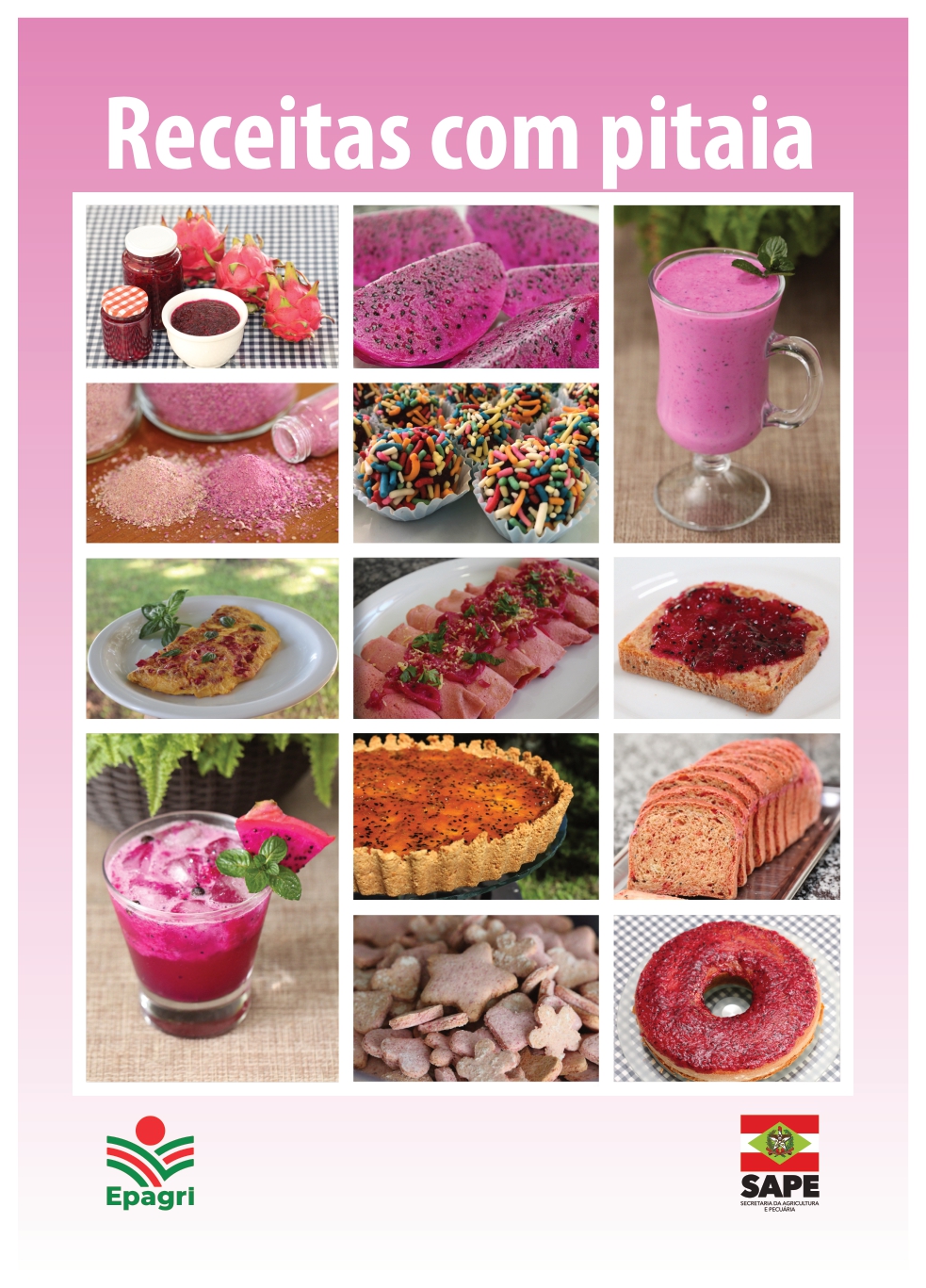 					Visualizar n. 181 (2026): Receitas de Pitaia
				