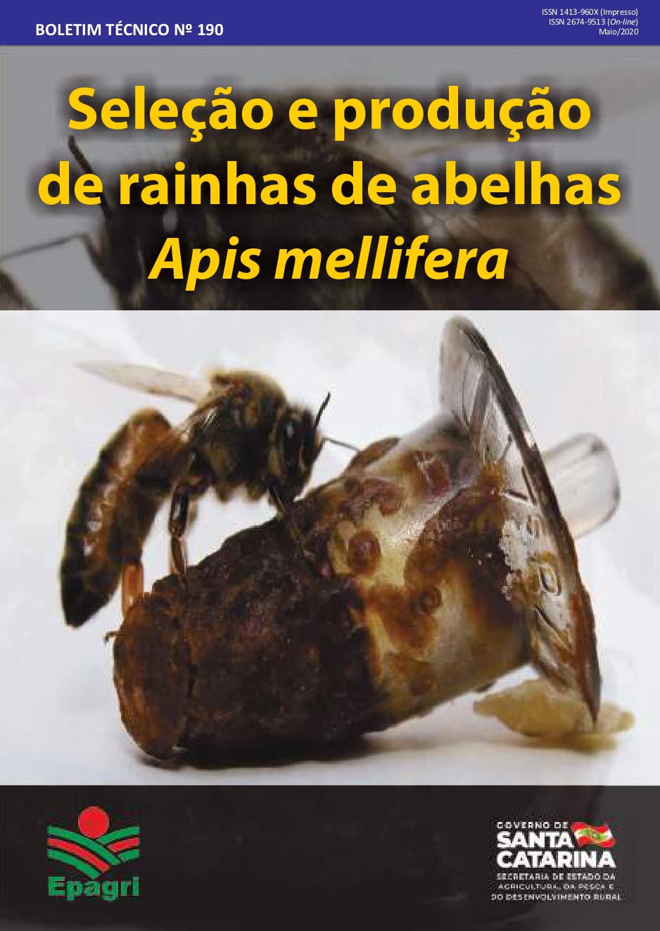 					View No. 190 (2020): Seleção e produção de rainhas de abelhas Apis mellifera
				