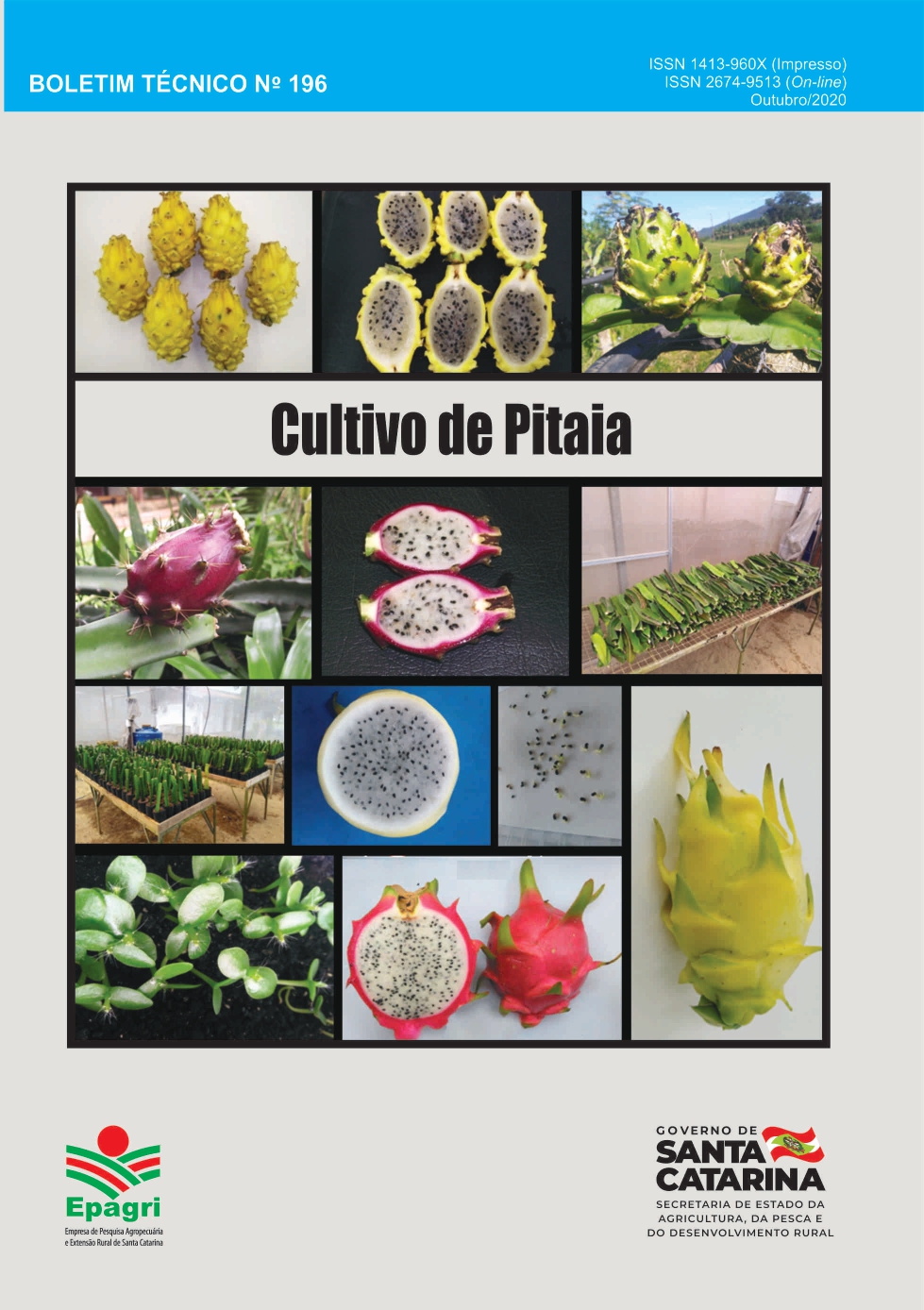 					Visualizar n. 196 (2020): Cultivo de Pitaia
				