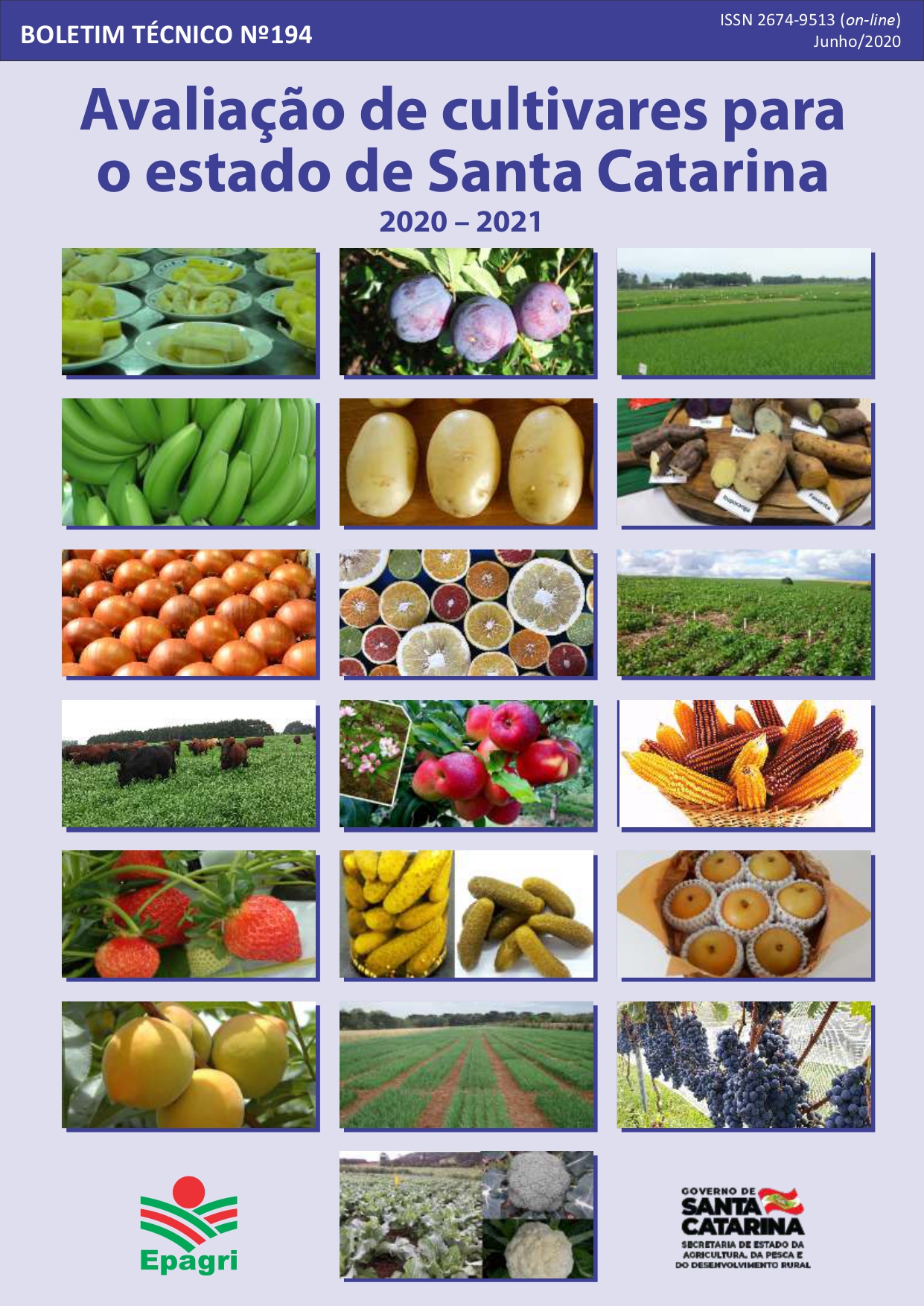 					Visualizar n. 194 (2020): Avaliação de cultivares para o estado de Santa Catarina 2020-2021
				