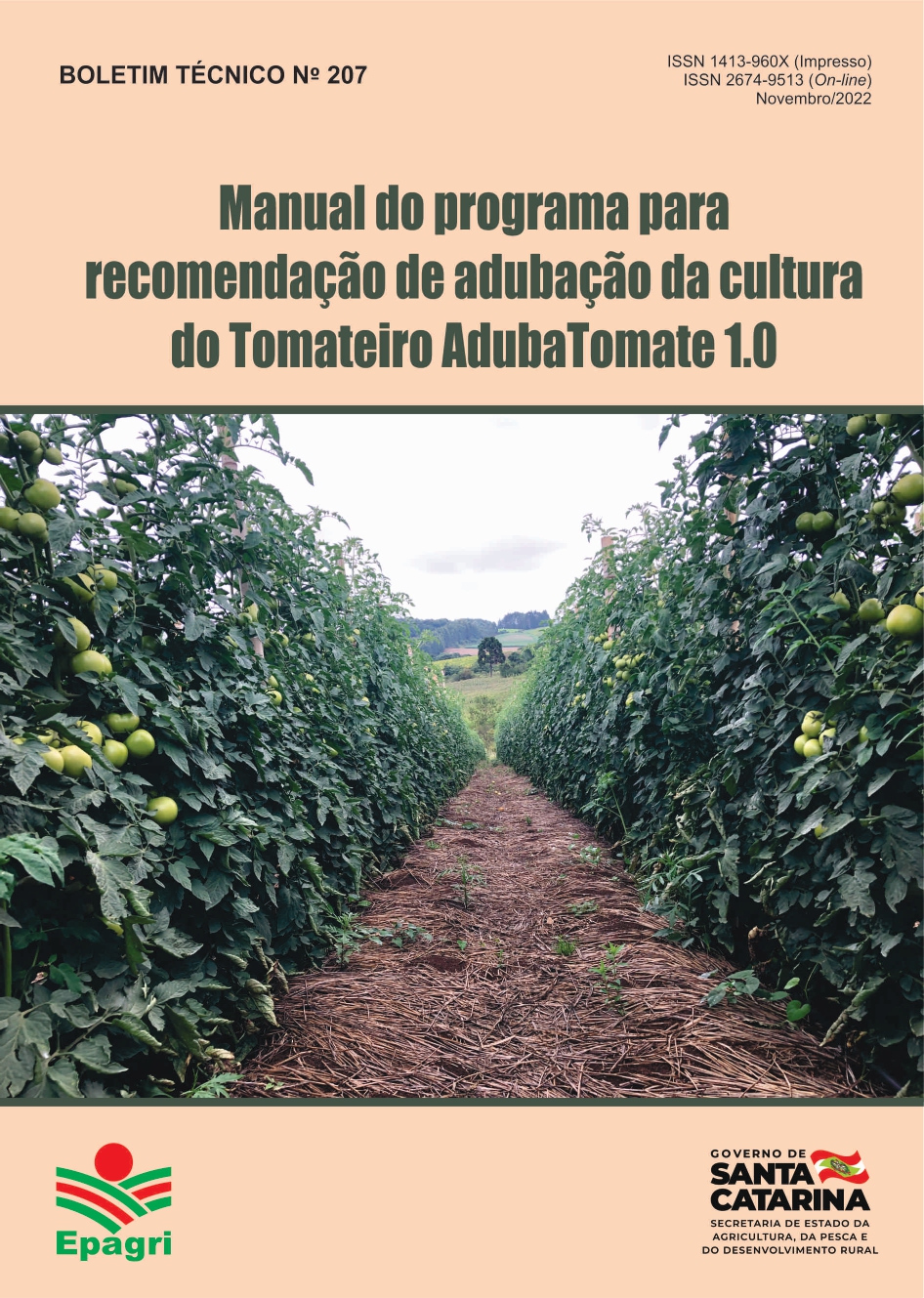 					View No. 207 (2022): Manual do programa para recomendação de adubação da cultura do tomate AdubaTomate 1.0
				