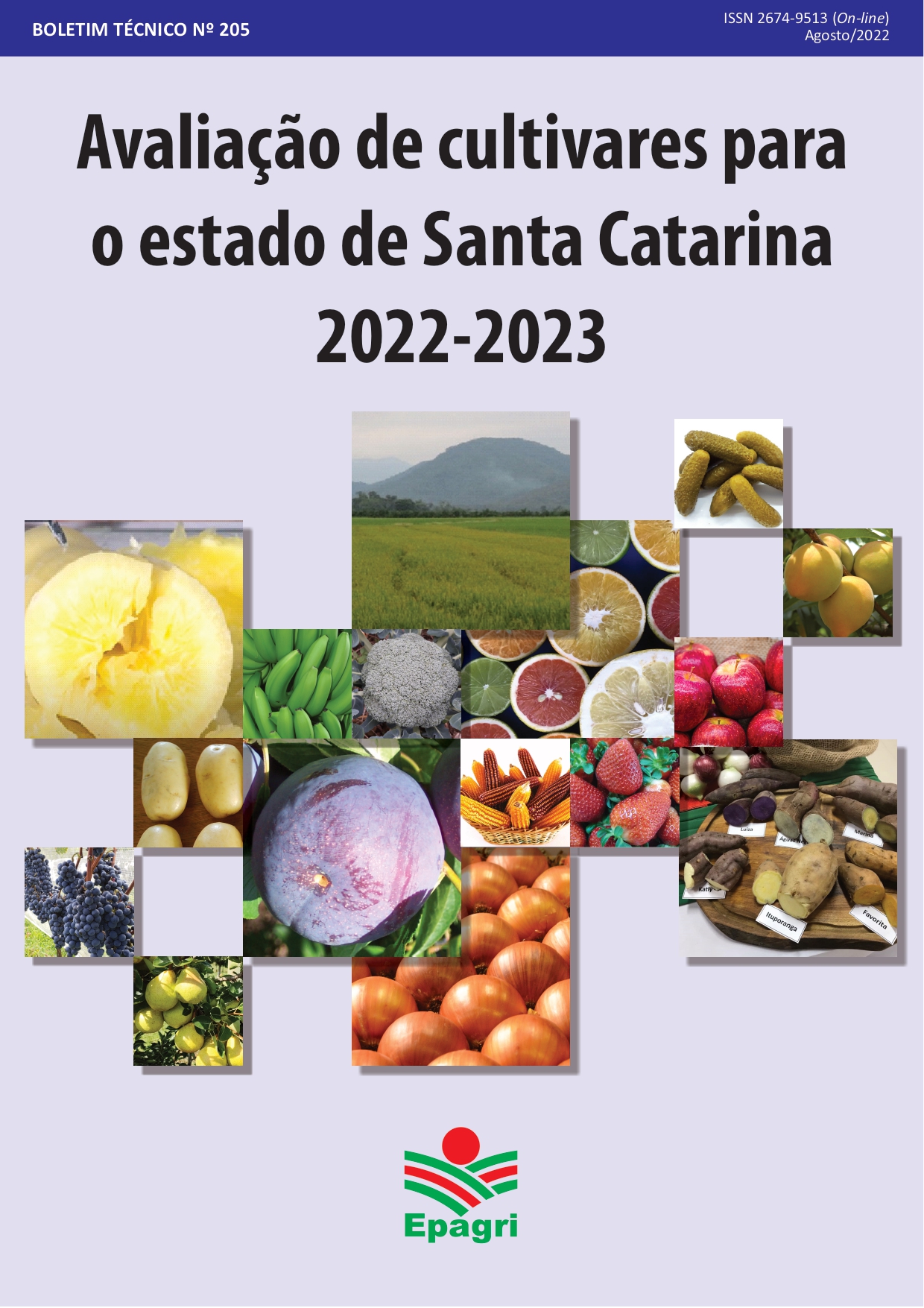 					Visualizar n. 205 (2022): Avaliação de cultivares para o estado de Santa Catarina 2022-2023
				