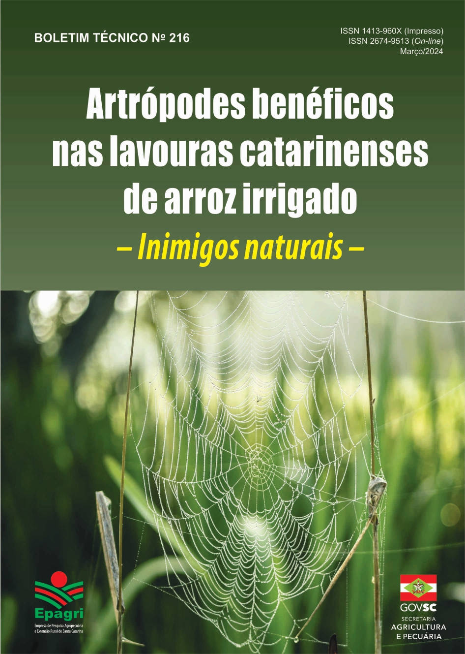					View No. 216 (2024): Artrópodes benéficos nas lavouras catarinenses de arroz irrigado
				