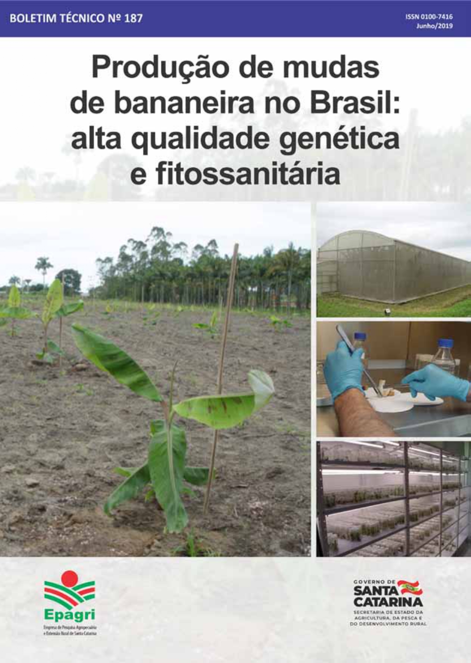 					Visualizar n. 187 (2019): Produção de mudas de bananeira no Brasil – alta qualidade genética e fitossanitária
				