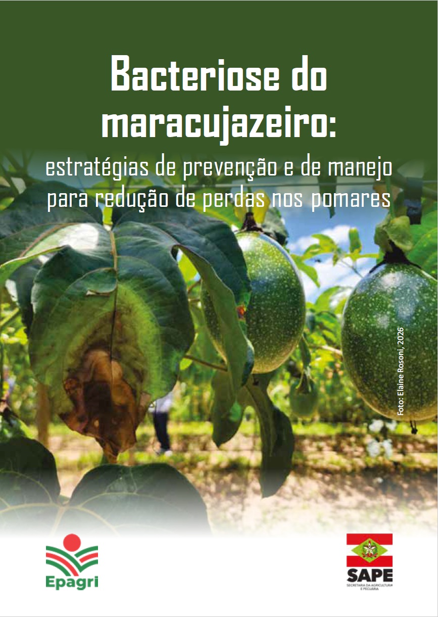 					Visualizar 2026: Bacteriose do maracujazeiro
				
