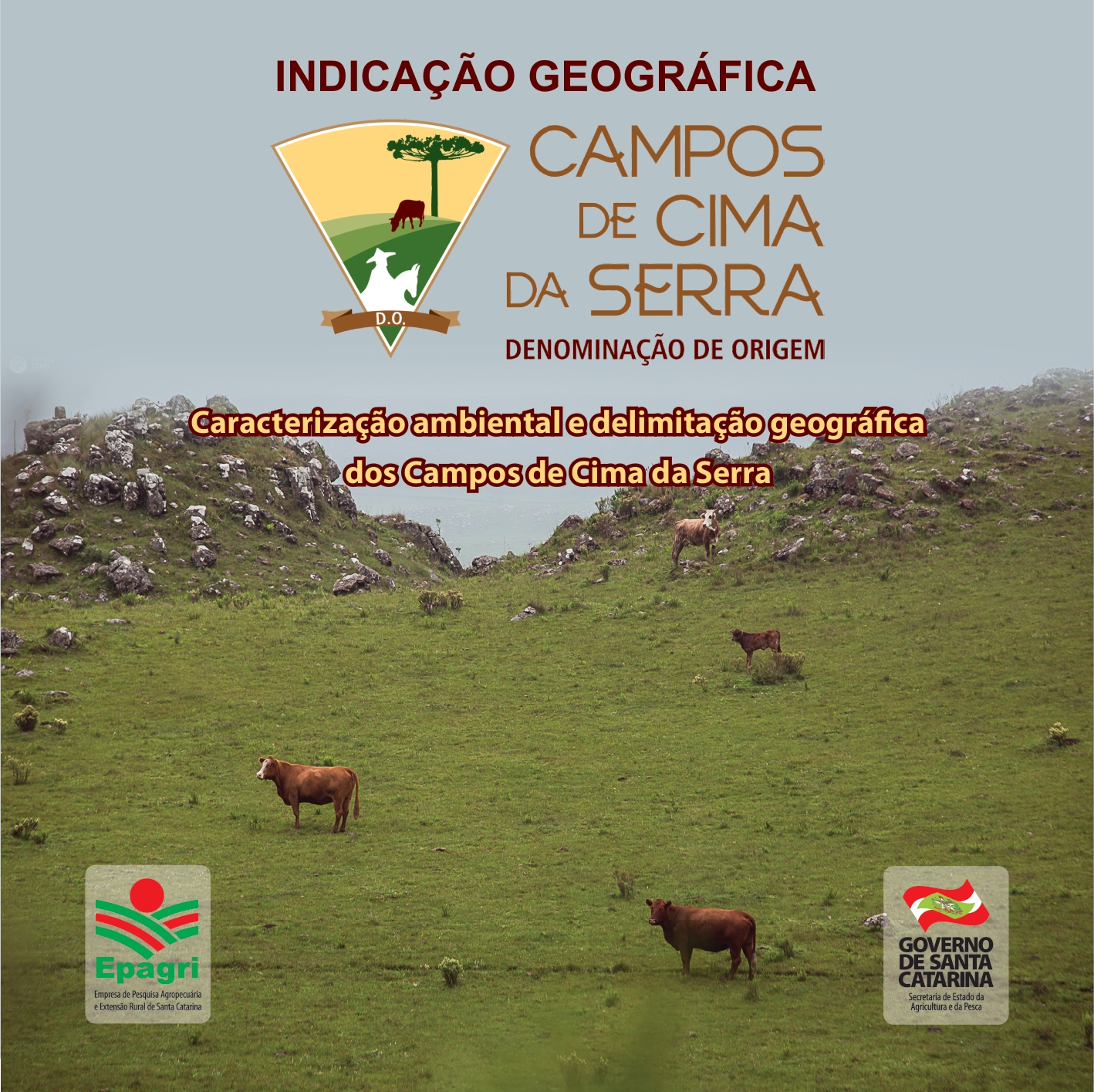 					Visualizar n. 274 (2017): Caracterização ambiental e delimitação geográfica dos Campos de Cima da Serra
				