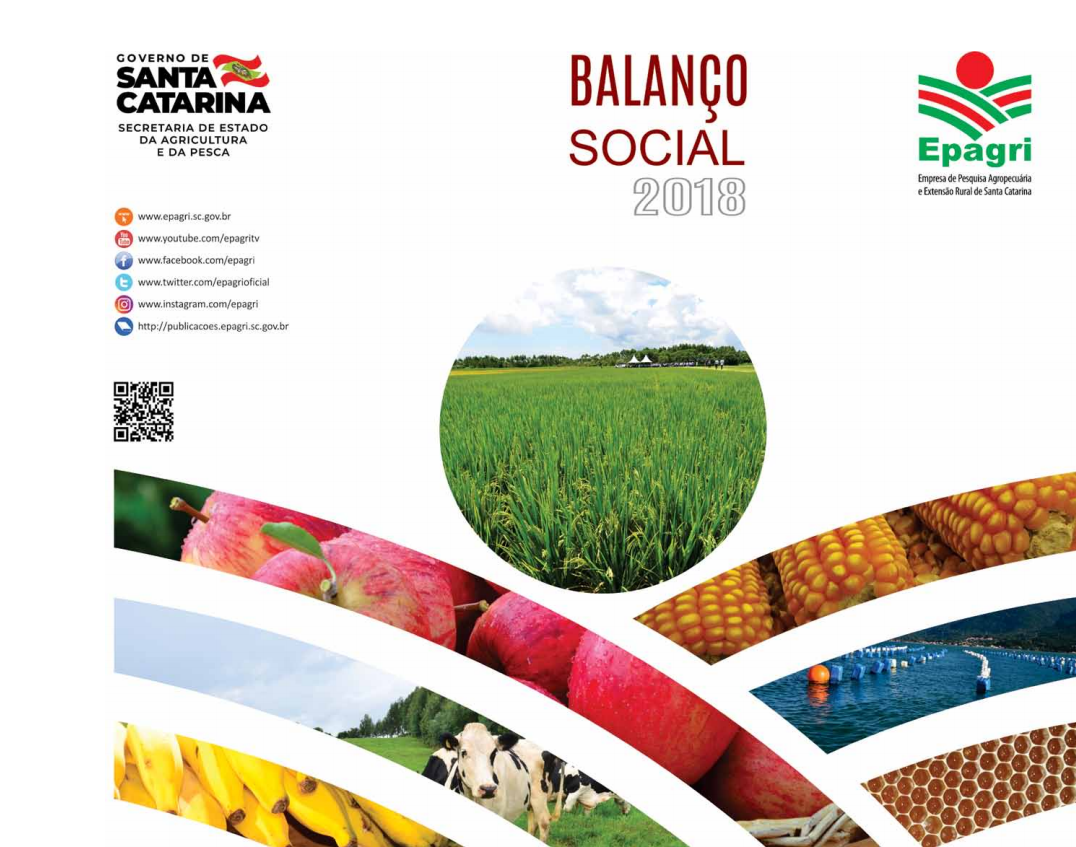 					Visualizar n. 293 (2019): Balanço Social 2018
				