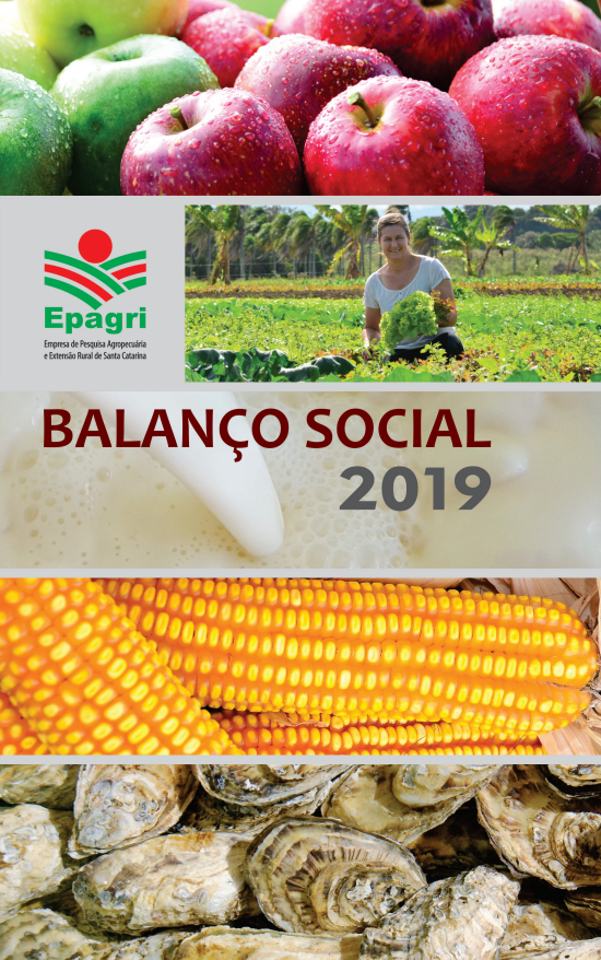 					Visualizar n. 312 (2020): Balanço Social 2019
				