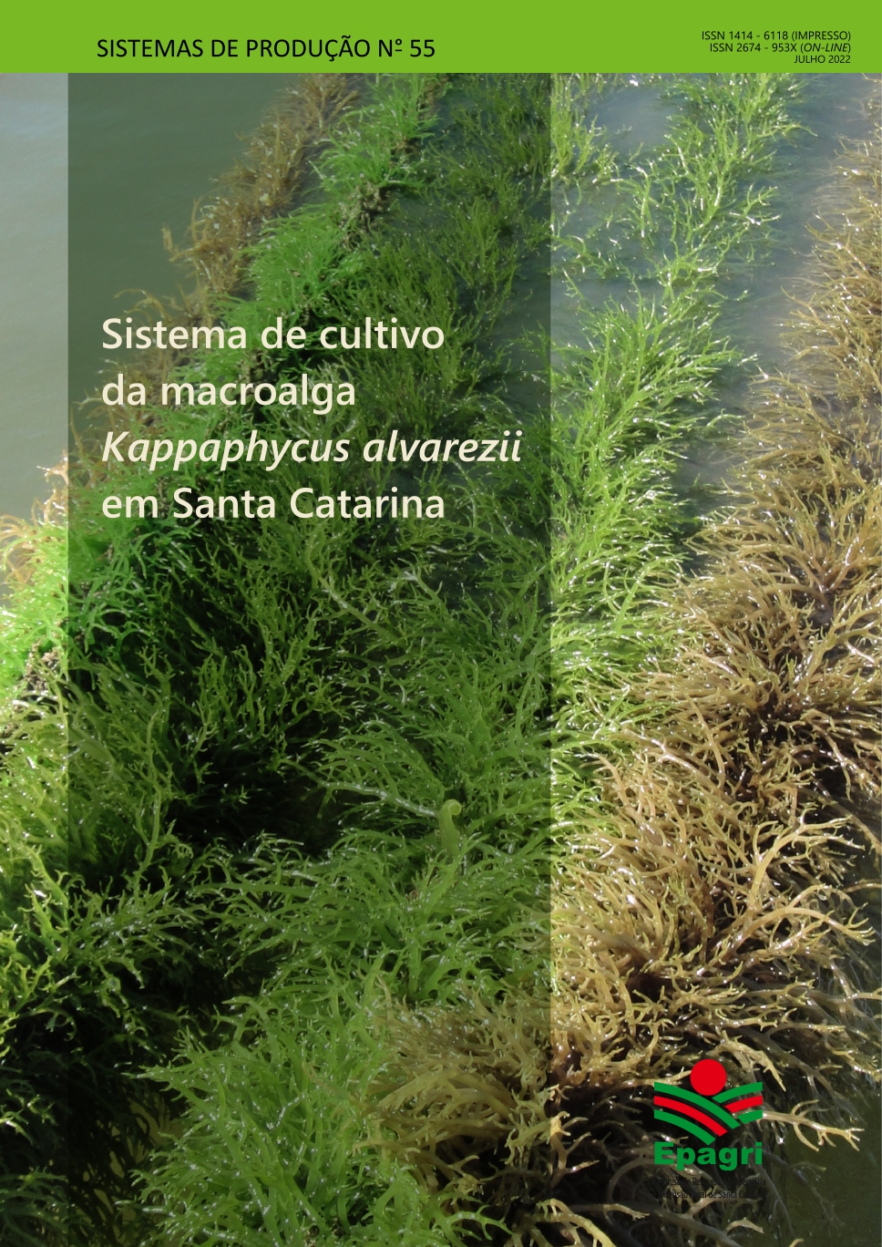 					Visualizar n. 55 (2022): Sistema de cultivo da macroalga Kappaphycus alvarezii em Santa Catarina
				